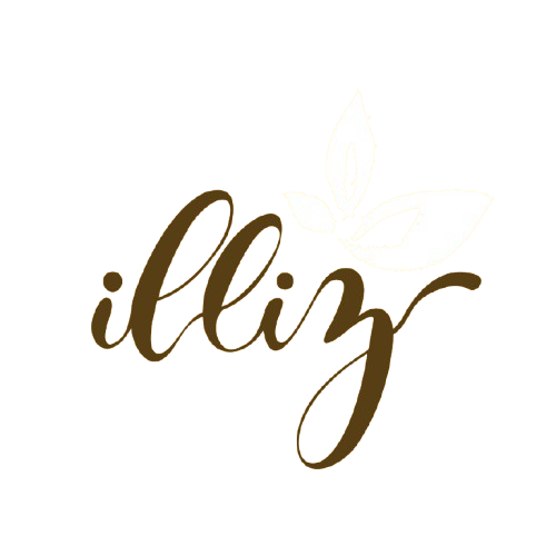 logo illiz fond orange page 0001 removebg preview